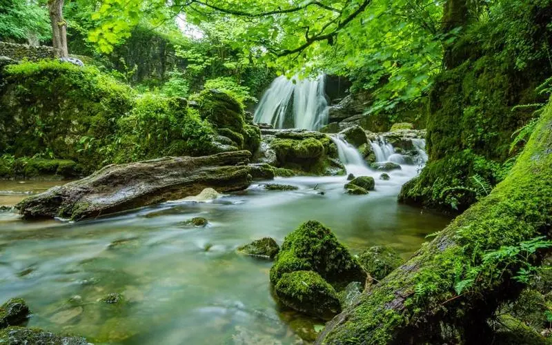 精密可靠性高端